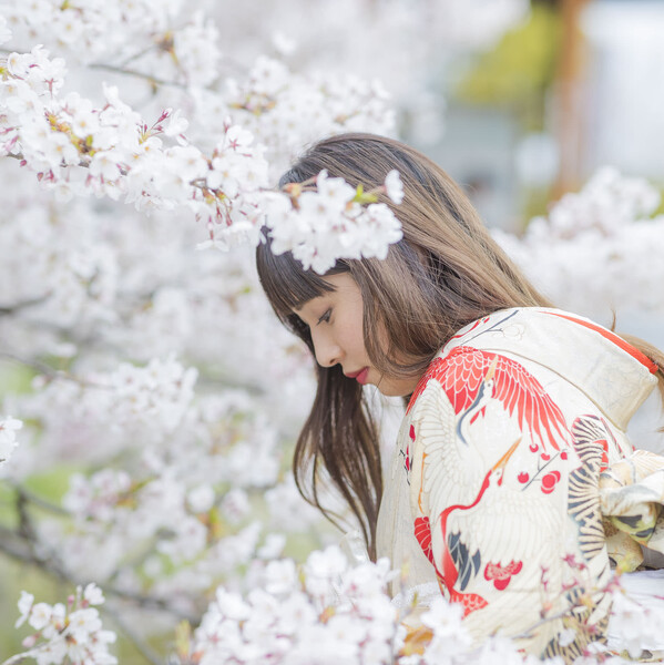 美粧花紋 bisoukamon | 博多のヘアサロン