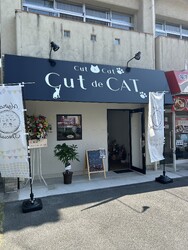 cut de CAT | 八丁堀/白島/牛田のヘアサロン