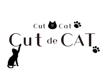 cut de CAT | 八丁堀/白島/牛田のヘアサロン