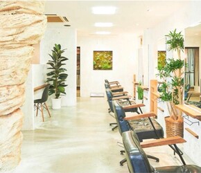 Atelier Salon .M | 広尾のヘアサロン Atelier Salon .M | 広尾のヘアサロン