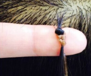 mau:a【マウア】 | 立川のヘアサロン mau:a【マウア】 | 立川のヘアサロン