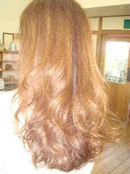 ヘアーショップ GRASS | 藤が丘のヘアサロン ヘアーショップ GRASS | 藤が丘のヘアサロン