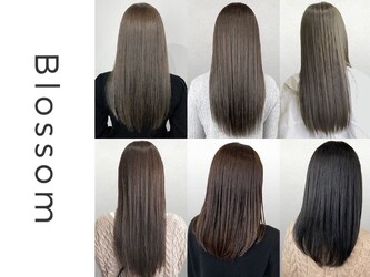 ブロッサム保谷店 | 練馬のヘアサロン ブロッサム保谷店 | 練馬のヘアサロン
