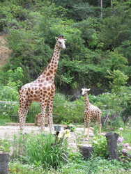 Anniversary美容室 Mimore | 倉敷のヘアサロン Anniversary美容室 Mimore | 倉敷のヘアサロン