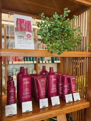 Dh-HAL-AVEDA 横浜 | 横浜のヘアサロン Dh-HAL-AVEDA 横浜 | 横浜のヘアサロン