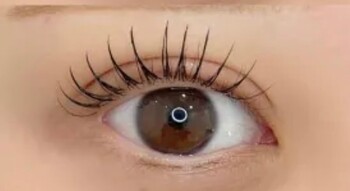 ALO | 横須賀のアイラッシュ ALO | 横須賀のアイラッシュ