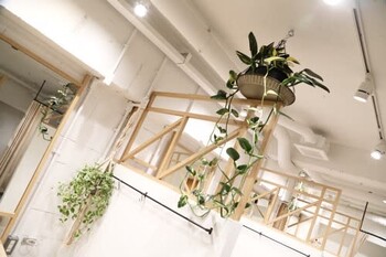 AMBIENT | 中野のアイラッシュ AMBIENT | 中野のアイラッシュ