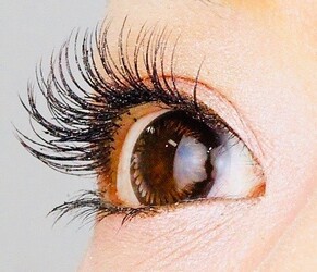 PURENESS | 四条烏丸/五条/西院のアイラッシュ PURENESS | 四条烏丸/五条/西院のアイラッシュ