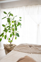 indibasalon88 | 下北沢のエステサロン indibasalon88 | 下北沢のエステサロン