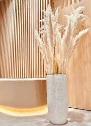 Lond ambre 京都/四条烏丸/韓国/ショート/ボブ/髪質改善【ロンド アンブル】 | 四条烏丸/五条/西院のヘアサロン Lond ambre 京都/四条烏丸/韓国/ショート/ボブ/髪質改善【ロンド アンブル】 | 四条烏丸/五条/西院のヘアサロン