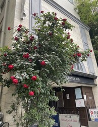 Nail salon Diamond | 千葉のネイルサロン Nail salon Diamond | 千葉のネイルサロン