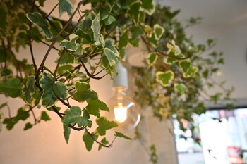 美容室ポール行徳店 髪質改善ヘッドスパマッサージサロン | 行徳のヘアサロン 美容室ポール行徳店 髪質改善ヘッドスパマッサージサロン | 行徳のヘアサロン