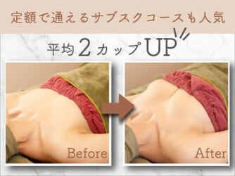 【バストアップ専門店】ふじこのみらいbyラディアンヌ | 京橋のエステサロン 【バストアップ専門店】ふじこのみらいbyラディアンヌ | 京橋のエステサロン