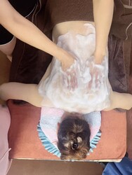 リラクゼーション向日葵 | 広島駅周辺のリラクゼーション リラクゼーション向日葵 | 広島駅周辺のリラクゼーション