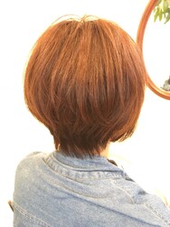 ほうせん花美容室 | 東村山のヘアサロン ほうせん花美容室 | 東村山のヘアサロン