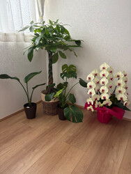 妊活お手当てサロン こうのとり | 白山のリラクゼーション 妊活お手当てサロン こうのとり | 白山のリラクゼーション