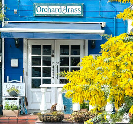 Orchardgrass | 町田のヘアサロン Orchardgrass | 町田のヘアサロン