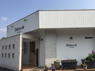 Deicy&Co【デイシーアンドコー】 | 長崎のヘアサロン Deicy&Co【デイシーアンドコー】 | 長崎のヘアサロン