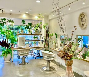 MIENE Hair【髪質改善 × 本格エイジングケア専門】 | 行徳のヘアサロン MIENE Hair【髪質改善 × 本格エイジングケア専門】 | 行徳のヘアサロン