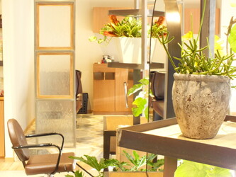 ROMEO | 八王子のヘアサロン ROMEO | 八王子のヘアサロン