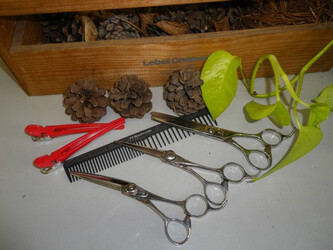 マドール | 観音寺のヘアサロン マドール | 観音寺のヘアサロン