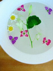 healing&beauty ciel clair | 二子玉川のリラクゼーション healing&beauty ciel clair | 二子玉川のリラクゼーション