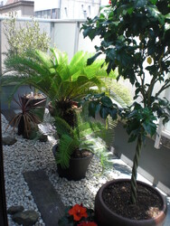 Royal Therapist 袋町店 | 袋町/本通/紙屋町/立町のアイラッシュ Royal Therapist 袋町店 | 袋町/本通/紙屋町/立町のアイラッシュ