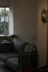 plaisir hair&flower | 堺のヘアサロン plaisir hair&flower | 堺のヘアサロン