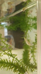 Hair's Cafe an | 都島のヘアサロン Hair's Cafe an | 都島のヘアサロン