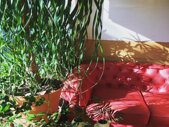 aggraziata sosta ソスタ | 鶴見のアイラッシュ aggraziata sosta ソスタ | 鶴見のアイラッシュ