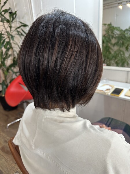 Pittura | 経堂のヘアサロン