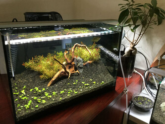 Bande | 寝屋川のヘアサロン Bande | 寝屋川のヘアサロン