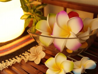 コリラクーン 草加店 | 草加のリラクゼーション コリラクーン 草加店 | 草加のリラクゼーション