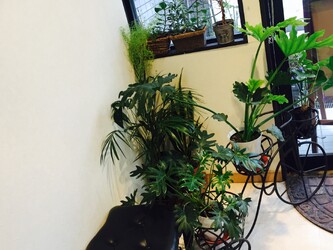 SLASH | 下北沢のヘアサロン SLASH | 下北沢のヘアサロン