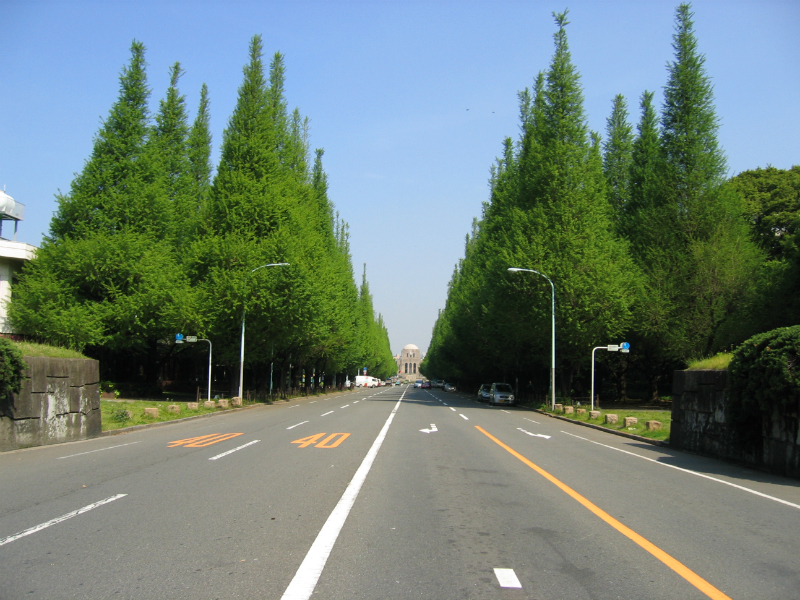 青山一丁目カイロプラクティック院 | 表参道のリラクゼーション