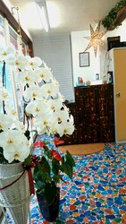 美容室 Tirol | 飯能のヘアサロン 美容室 Tirol | 飯能のヘアサロン