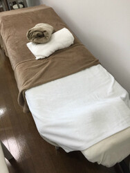 プライベートエステサロン Plaisir | 御器所のエステサロン プライベートエステサロン Plaisir | 御器所のエステサロン