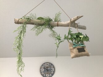 Astilbe | 旭川のヘアサロン Astilbe | 旭川のヘアサロン