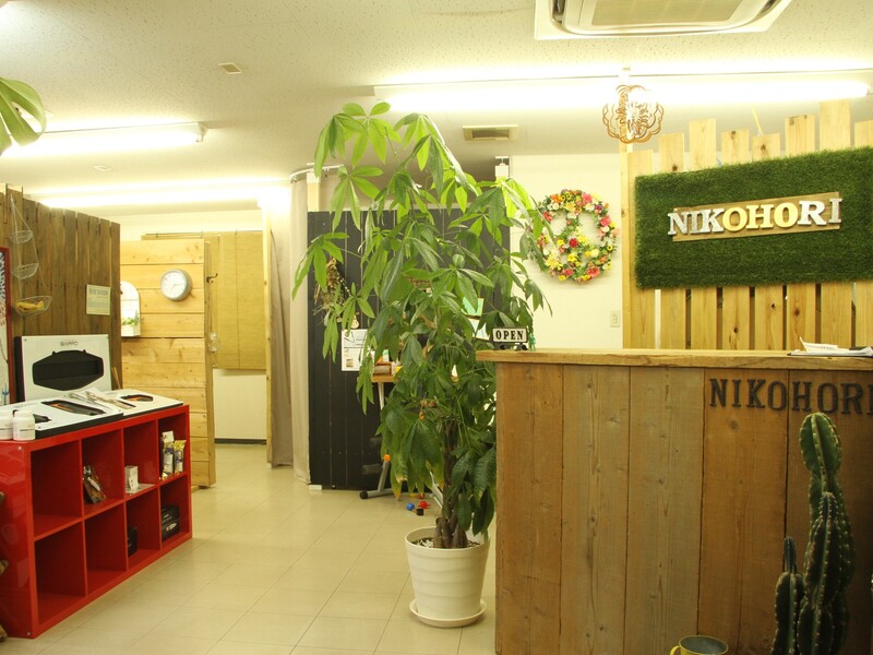 NIKOHORI | 福山のエステサロン