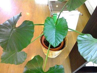 hair space QUENCH 《クェンチ》 | 加古川のヘアサロン hair space QUENCH 《クェンチ》 | 加古川のヘアサロン