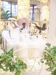 美容室プロテア | 中野のヘアサロン 美容室プロテア | 中野のヘアサロン