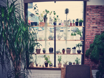 VOLK | 橿原のヘアサロン VOLK | 橿原のヘアサロン