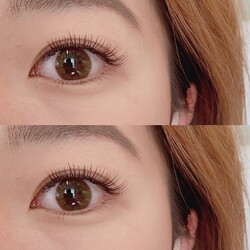 Total Beauty Relax Butterfly | 平塚のアイラッシュ Total Beauty Relax Butterfly | 平塚のアイラッシュ