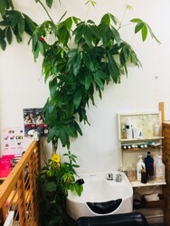 カットハウスキャロル | 那覇のヘアサロン カットハウスキャロル | 那覇のヘアサロン