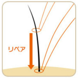 増毛エクステ専門店SENSE by plushair 新宿店 | 新宿のヘアサロン 増毛エクステ専門店SENSE by plushair 新宿店 | 新宿のヘアサロン