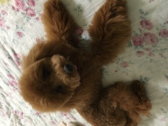 Lovewise | 呉のリラクゼーション Lovewise | 呉のリラクゼーション