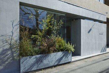 branch hair | 横川/十日市/舟入/西広島のヘアサロン branch hair | 横川/十日市/舟入/西広島のヘアサロン