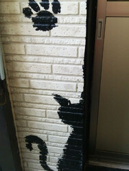 ねこや | 柏のリラクゼーション ねこや | 柏のリラクゼーション