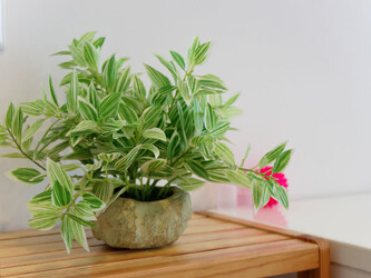 まきもと整体院 | つくばのリラクゼーション まきもと整体院 | つくばのリラクゼーション