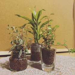 Natulle | 刈谷のエステサロン Natulle | 刈谷のエステサロン